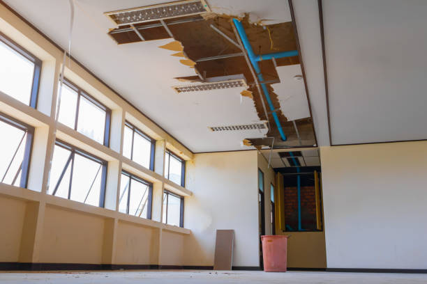 Best Flood damage cleanup  in Buhl, ID