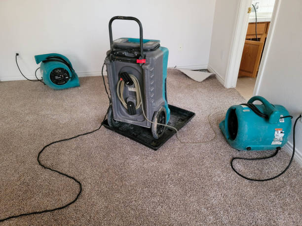 Fire Damage Restoration in Buhl, ID