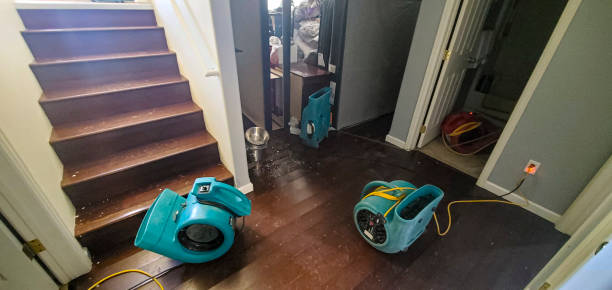 Best Water damage cleanup near me  in Buhl, ID