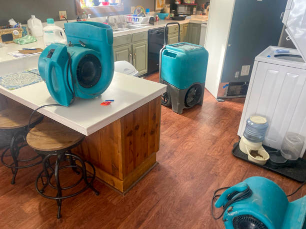 Best Water damage restoration process  in Buhl, ID