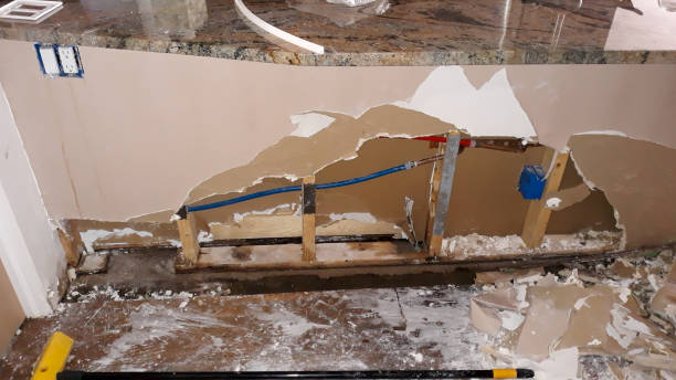 Best Water damage cleanup near me  in Buhl, ID