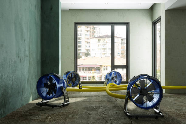 Best Water damage restoration near me  in Buhl, ID